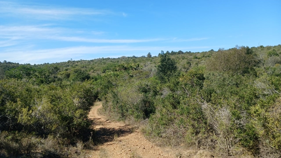 Commercial Property for Sale in Bathurst Rural Eastern Cape